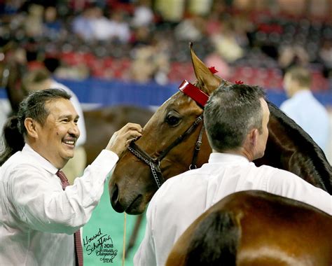 Kentucky State Fair Worlds Championship Horse Show Returns To Freedom