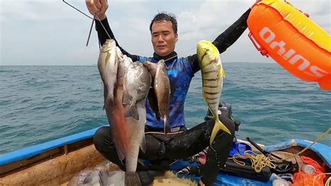 阿鋒水下打魚過足癮，一箭雙雕兩條大貨，輕鬆收穫 一串魚獲【探海漁人】 Youtube