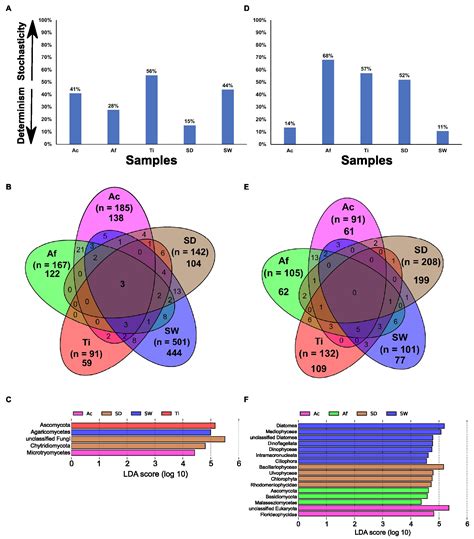 Frontiers Prokaryotic Fungal And Unicellular Eukaryotic Core