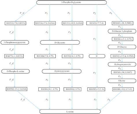 Computed pathways for L-serine biosynthesis: r 1 , r 2 , r 3 and r 4 ...