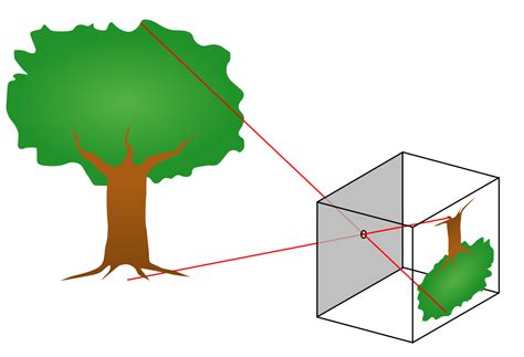 How Pinhole Camera Works