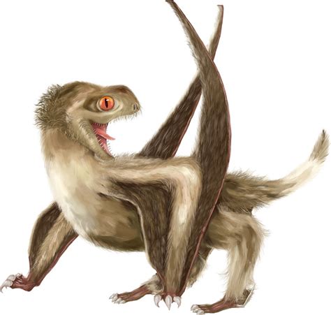 Did All Dinosaurs Have Feathers? | Discover Magazine