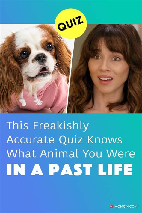 This Freakishly Accurate Quiz Knows What Animal You Were In A Past Life