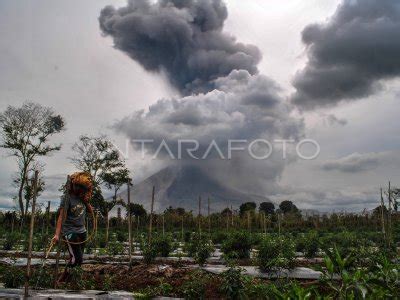 Gunung Sinabung Kembali Erupsi Antara Foto