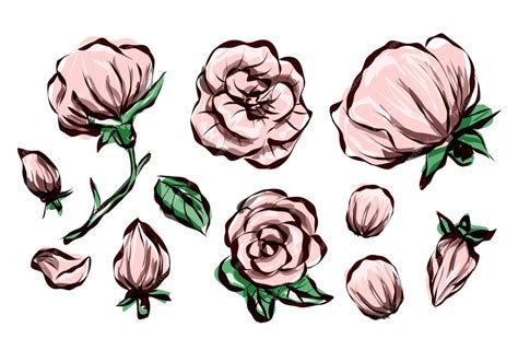 Premium Vector Vintage Rose Flowers On White Background Floral Collection Of Cartoon Vector