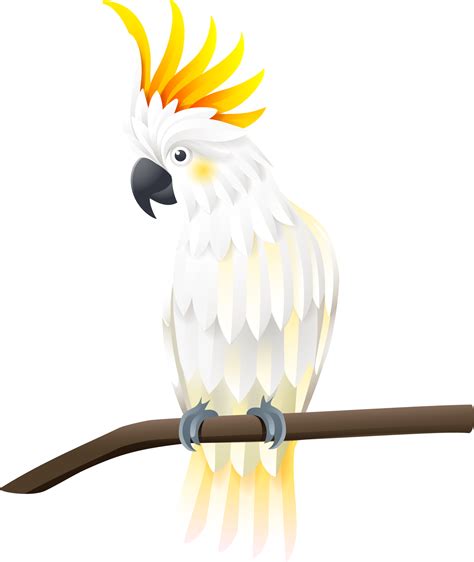 White Cockatoo Symbol Color Png