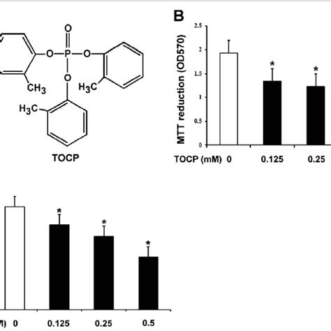 Tocp Inhibits Viability And Testosterone Output Of Mouse Leydig Tm3 Download Scientific Diagram