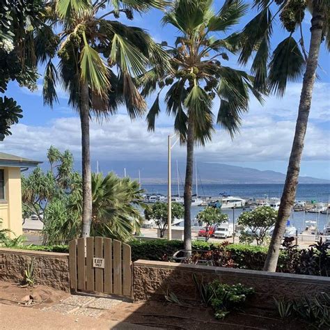 Tante's Fishmarket at Maalaea Harbor - Wailuku, Maui, HI - Maui Happy Hours