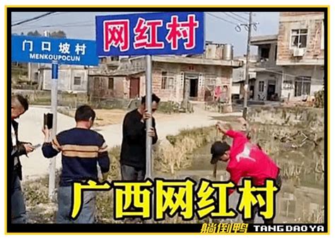 “中国第一网红村”凉透了，全村人为“发大财”搞低俗直播？黎木桂