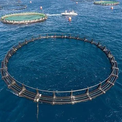 Aquaculture Equipment HDPE Round Floating Fish Cage Fish Farming Cage