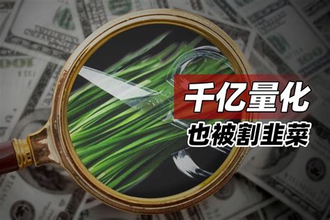 千亿量化也被割韭菜 凤凰网视频凤凰网