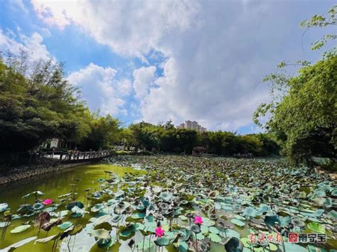 冷空气明天到货，广西将自北向南开启阴雨持续性降温模式 桂林生活网新闻中心