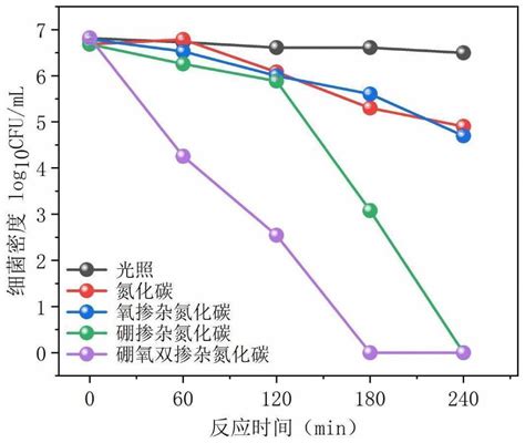 一种硼氧双掺杂石墨相氮化碳纳米片的合成方法及其杀灭耐药菌的应用