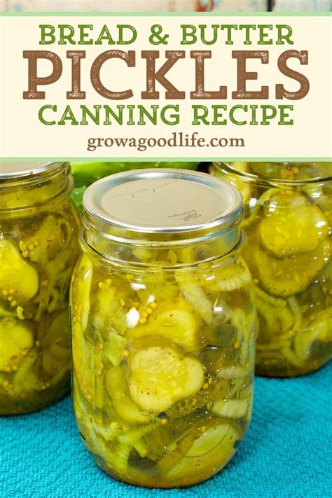 Bread And Butter Pickles Canning Recipe Artofit