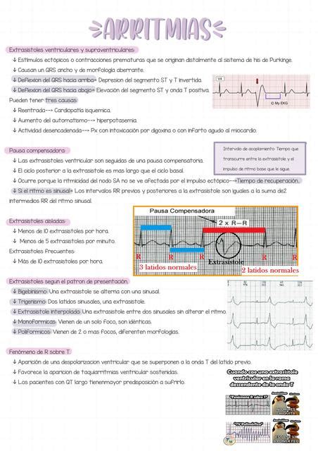 Cardiologia Udocz