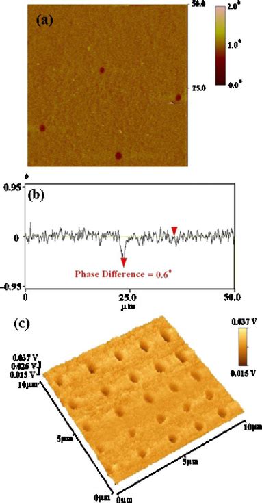 Color Online Reflection Optical Image Of The Fet Structures