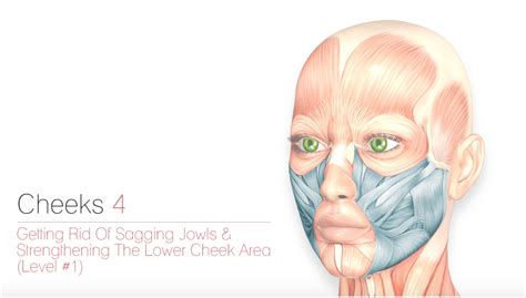 Cheek-Workout – Cheek to cheek - Face-Shine Training