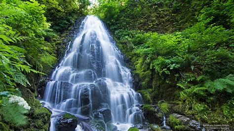 HD wallpaper: Fairy Falls, Corbett, Oregon, Waterfalls | Wallpaper Flare