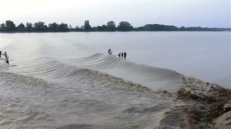 Tidal Bore Surfing At Sunrise Youtube