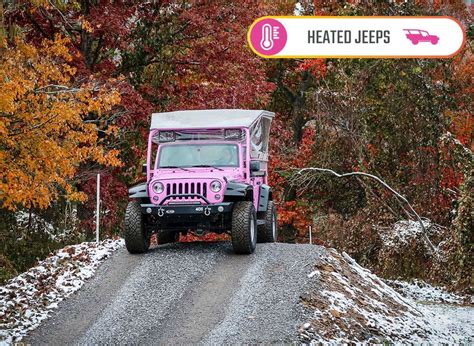 Pink® Jeep Tours Bear Tracts