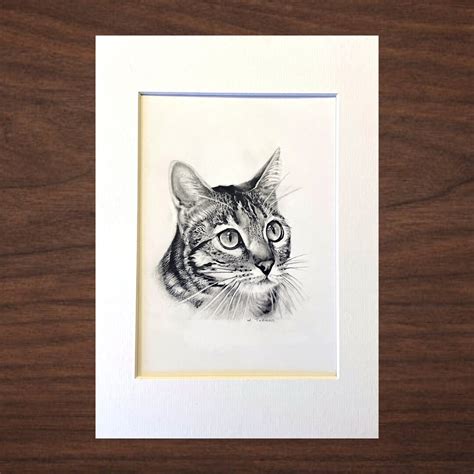 Original Cat Drawing Cat Pencil Drawingcat Picture Cat Fine - Etsy