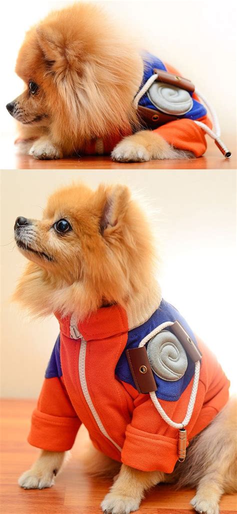 Dragon Ball Z Dog Costume Dragonballzan