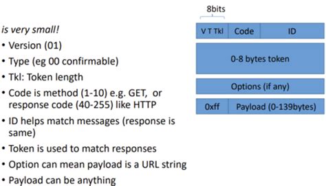 Application Layer Protocols Flashcards Quizlet