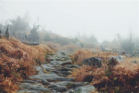 Bildet Landskap Tre Natur Skog Sti Pathway Utend Rs Villmark