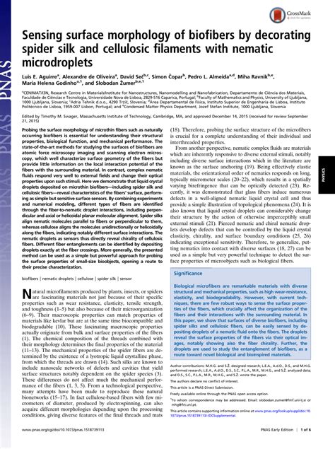 Pdf Sensing Surface Morphology Of Biofibers By Decorating Spider Silk