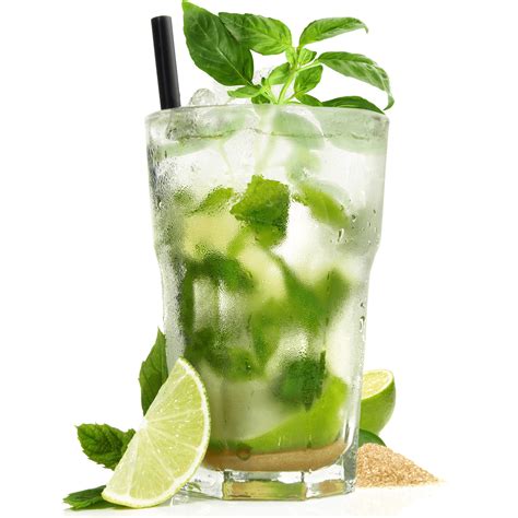 Mexican Basil Mojito Drinkdirectch