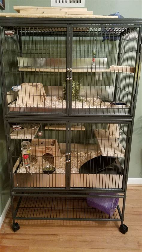 Chinchilla cage setup double level ferret nation | Chinchilla cage, Chinchilla pet, Ferret cage diy