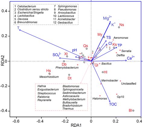 Biplots Of Sample And Environmental Parameter Correlations From Download Scientific Diagram