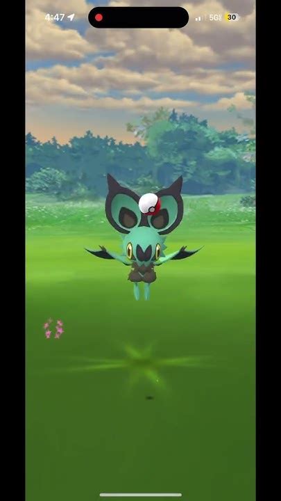 Pokémon Go Shiny Noibat During Noibat Community Day Shorts Fyp Pokemongo Youtube