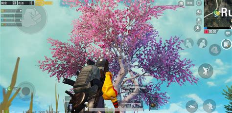 如何看待许多玩家不玩《和平精英》转玩 Pubg Mobile（刺激战场国际服）？ 知乎