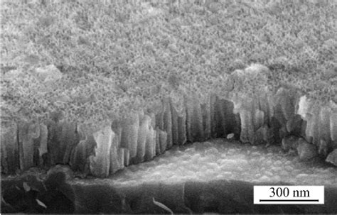 Sem Image Of A Cross Section Of The Thin Porous Anodic Alumina Film