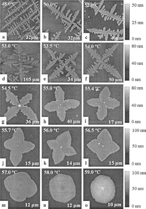 Figure 1 From Dendritic To Faceted Crystal Pattern Transition Of