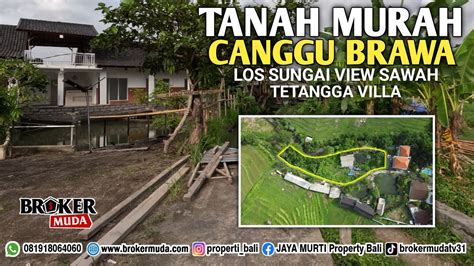 DIJUAL TANAH TERMURAH DI CANGGU BRAWA LOS SUNGAI DAN VIEW SAWAH YouTube