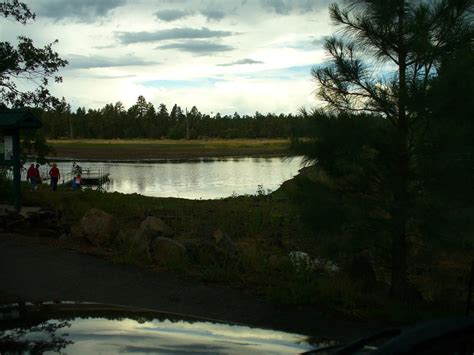 Woodland Lake Park 35 Photos Parks Woodland Lake Rd Pinetop