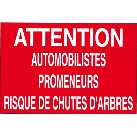 Panneau Attention Automobilistes Promeneurs Risque De Chutes D Arbres