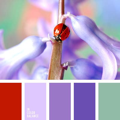 розово-фиолетовый | IN COLOR BALANCE