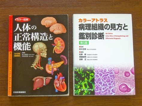 カラー図解 人体の正常構造と機能 全10巻縮刷版＋カラーアトラス 病理組織の見方と鑑別診断 第5版 2冊 Oa17医学一般｜売買された