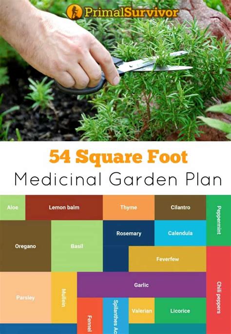 Square Foot Herb Garden Layout - the hobby