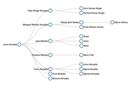 The Kenyatta Family Wealth Structure.