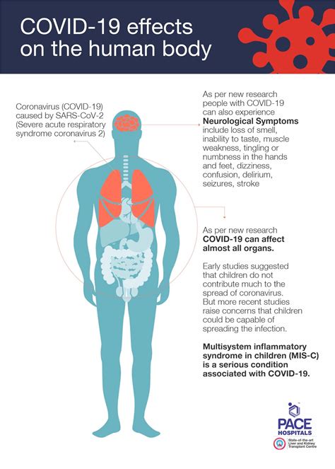 Incubation Period Of COVID 19 Coronavirus Symptoms Day By Day