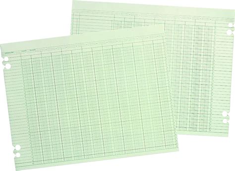 Amazon Wilson Jones Accounting Sheets 20 Column 9 1 4 X 11 7 8