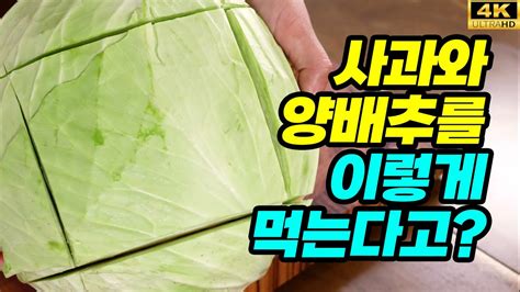 정말간단 샐러드 그만no~ 이제는 쌈을 싸서 드세요 쉽게 손질하여 5분안에 먹을 수 있는 다이어트 양배추사과쌈 이렇게 드셔