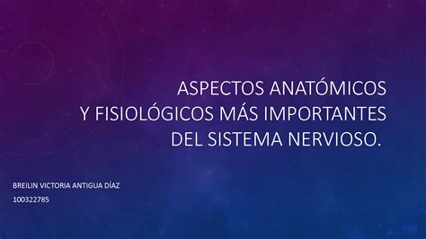 Solution Aspectos Anat Micos Y Fisiol Gicos Del Sistema Nervioso