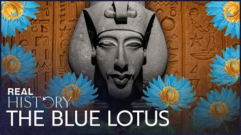 The Mystery Of Ancient Egypts Blue Lotus Aphrodisiac Private Lives Of Pharaohs Real History