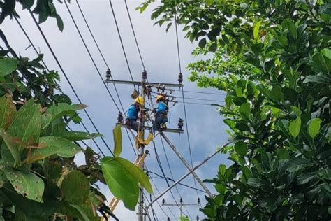 Hadirkan Listrik Yang Andal Pln Pontianak Rutin Lakukan Pemeliharaan