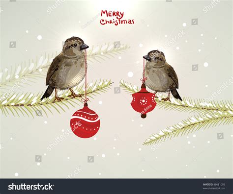 Two Funny Cartoon Birds With Christmas Balls On The Fir Tree Branch